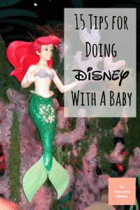 Ariel ride at Disney World